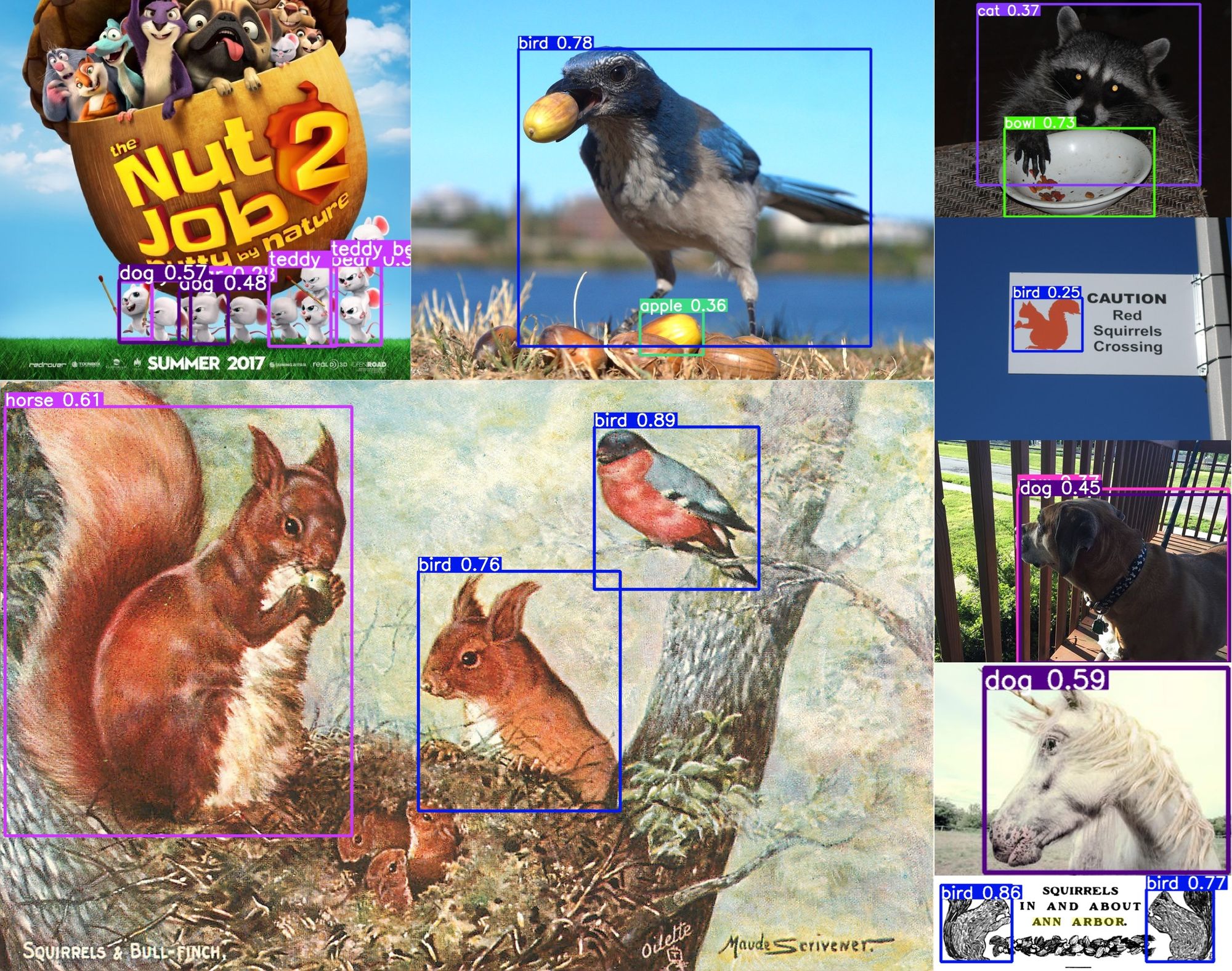 Eight example images that are either not squirrels or cartoon squirrels