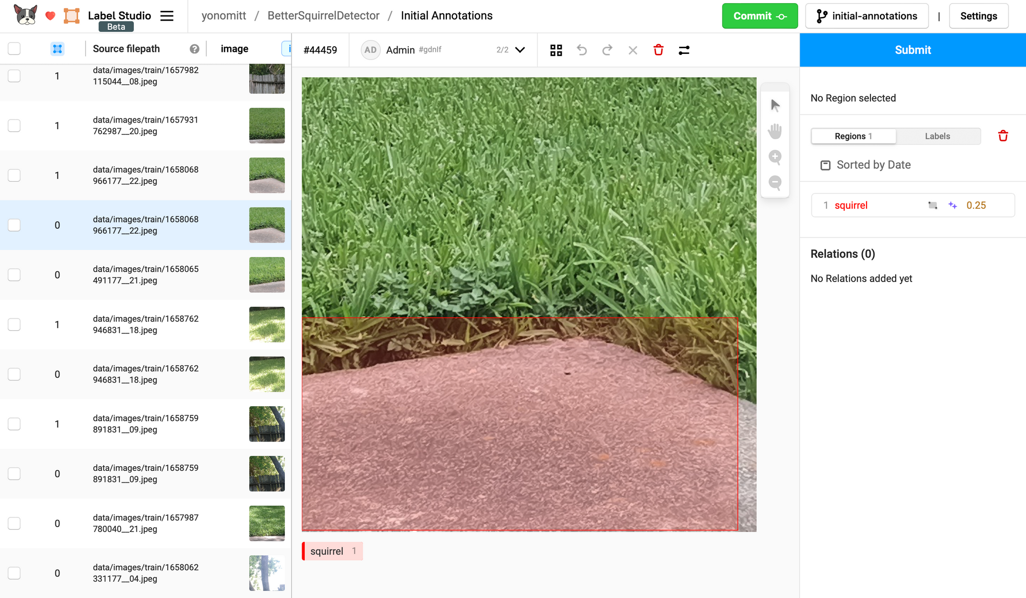 Label Studio screenshot showing a false positive prediction. The pavement is labeled as a squirrel.