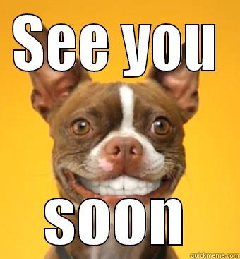 Meme showing a smiling dog with the text "See you soon"