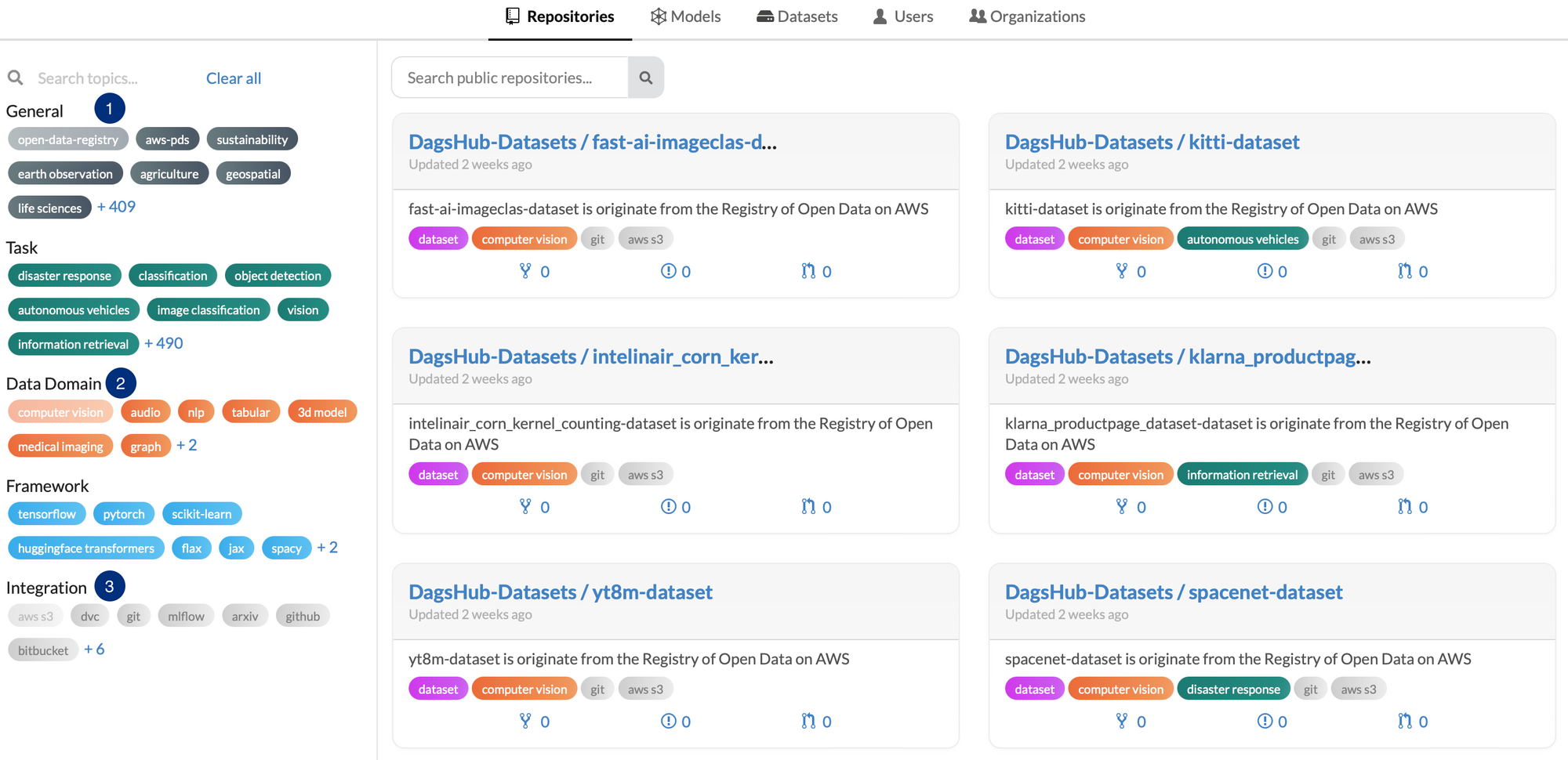 DagsHub Datasets