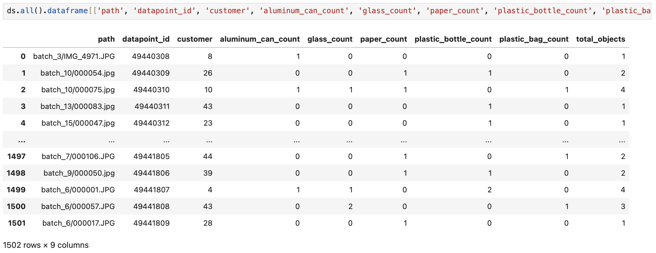 Screenshot from a notebook showing the Pandas DataFrame created from the data source, which includes added metadata.