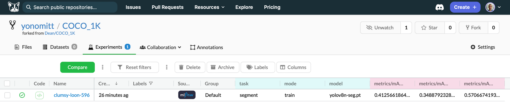 Screenshot of the Experiments tab open on a DagsHub repo, showing a single logged experiment.