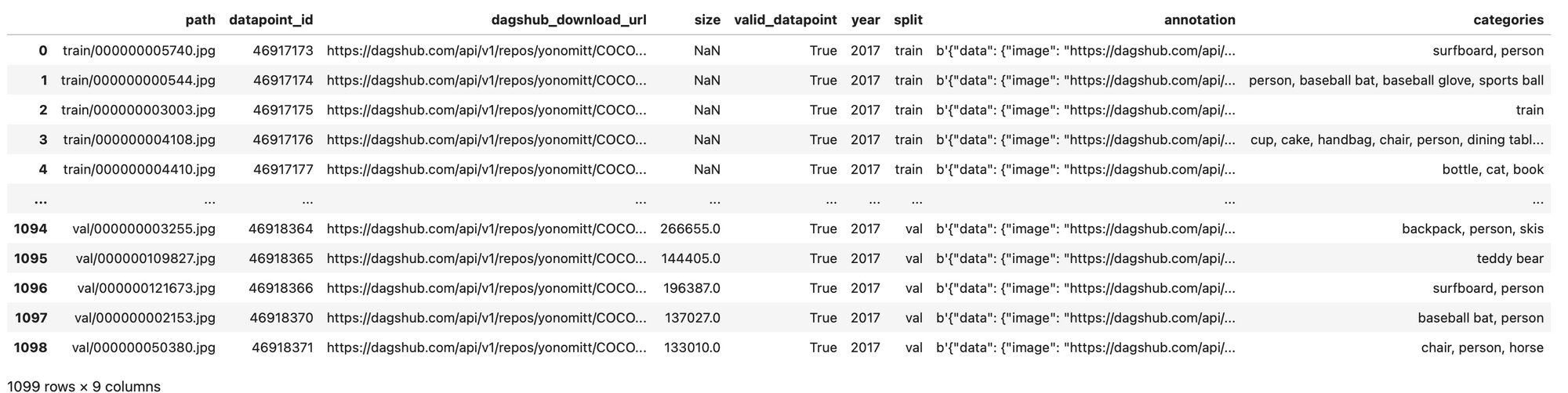 Screenshot of a pandas DataFrame showing 9 columns, "path", "datapoint_id", "dagshub_download_url", "size", "valid_datapoint", "year", "split", "annotation", and "categories"
